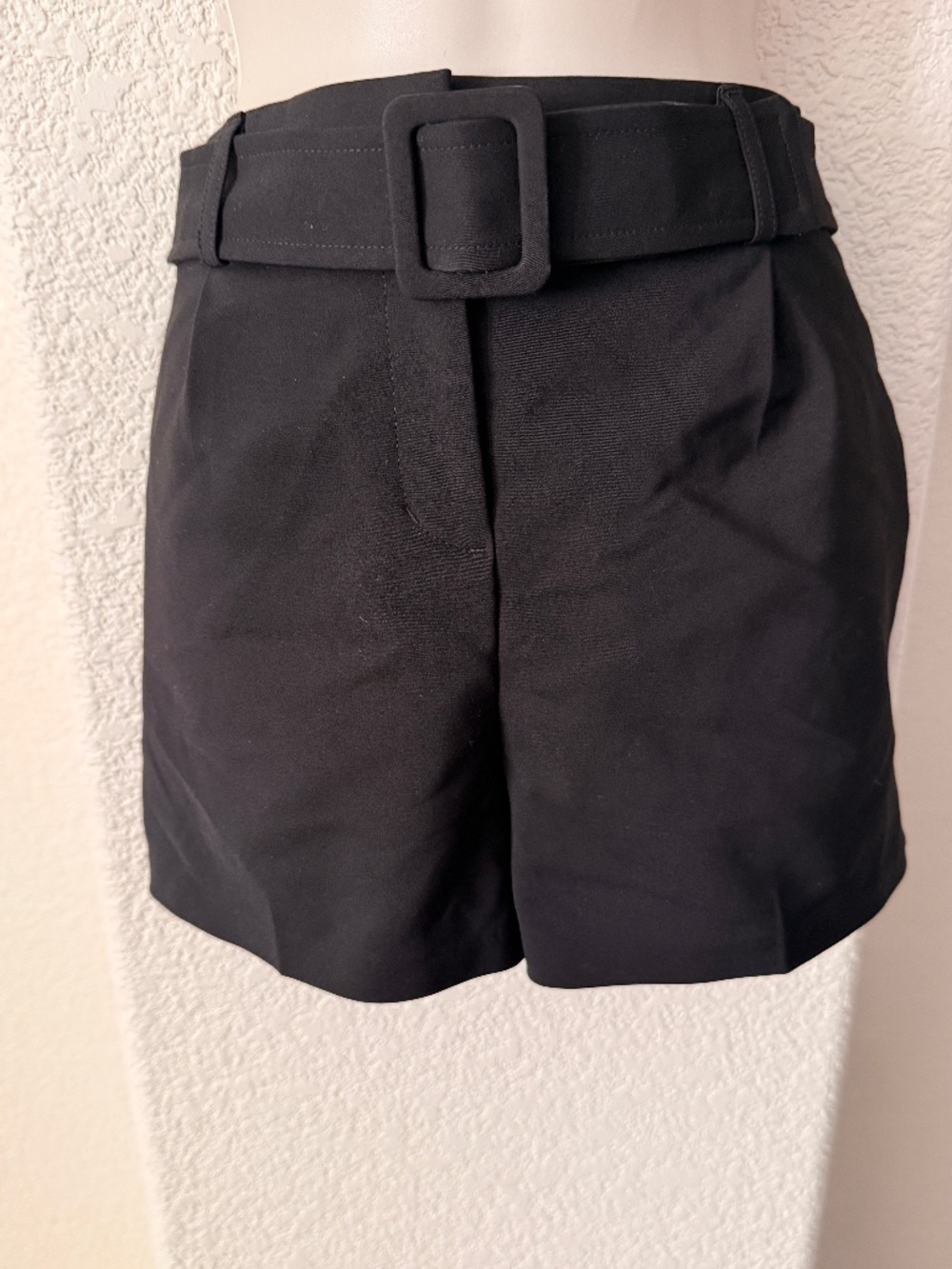 Express Dress Shorts